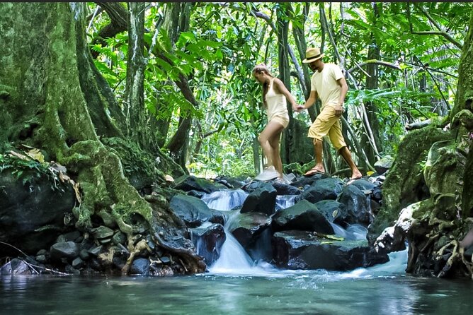 Bush Hiking to explore Wild Plants & Fresh Fruits,Montego Bay - What the $160 Price Really Covers