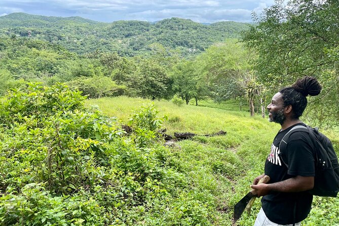 Bush Hiking to explore Wild Plants & Fresh Fruits,Montego Bay - Should You Book This Lethe Hike?