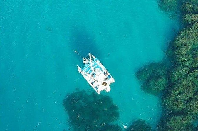 Catamaran, snorkeling & Dunn's River Falls - Snorkeling when the sea allows