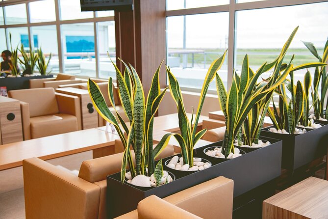 Club Mobay Sangster Airport VIP Lounge with Priority Entry - Should you book Club Mobay?