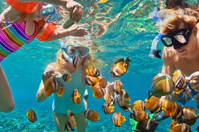 Customize Snorkeling with Option shopping Lunch & Stop local food - Key points at a glance