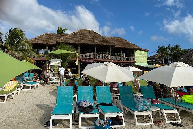 Day Tour Negril Beach & Ricks Cafe - The drivers are a major part of the experience