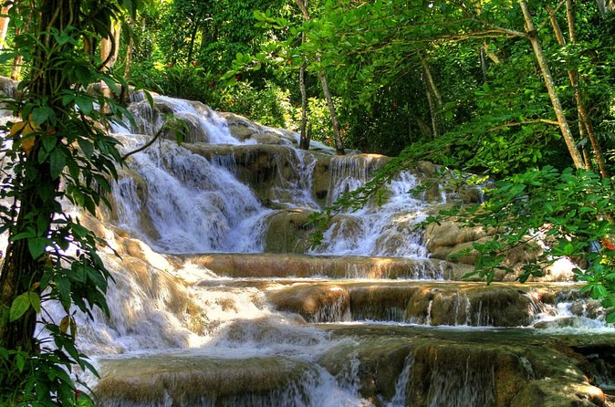 Day Trip to Dunn's River Falls from Montego Bay - Who should book this Montego Bay outing?