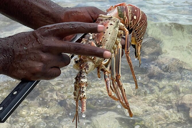 Day Trip to Negril from Montego Bay/Boat Ride to Booby Cay Island/Lobster Lunch - Taking the Boat to Booby Cay Island