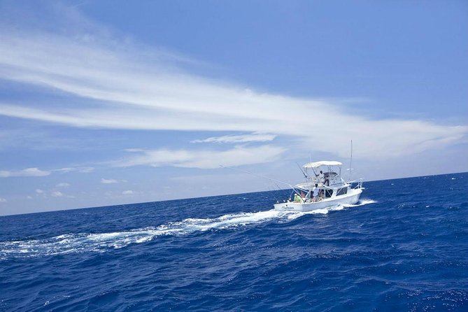 Deep Sea Sport Fishing From Montego Bay - How trolling works on this Jamaica fishing trip