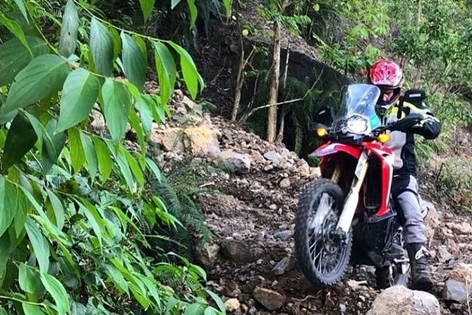 Dirt Bike Tours - Vistas over Kingston and the mountains
