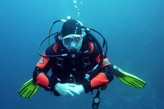 Discover Scuba Diving From Ocho Rios - Key points to know before booking