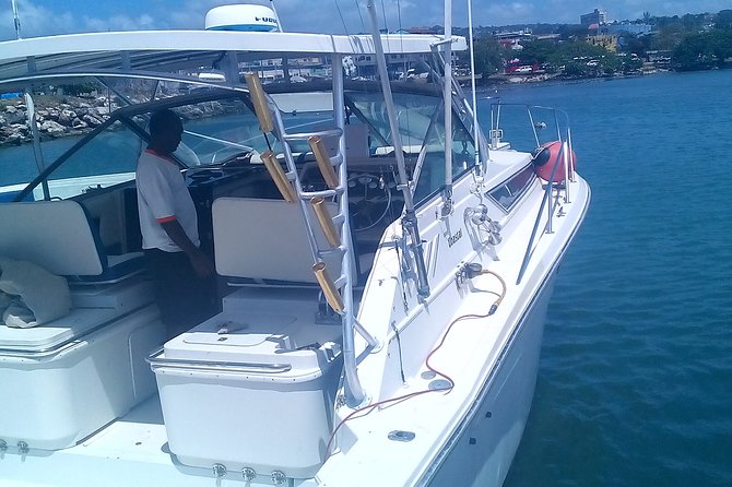 Discover Scuba Diving From Ocho Rios - Learning the basics in a controlled area