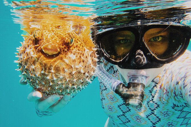 Discover Scuba Diving in Montego Bay-ONE Tank (First time Diving) - What the three-hour schedule actually involves