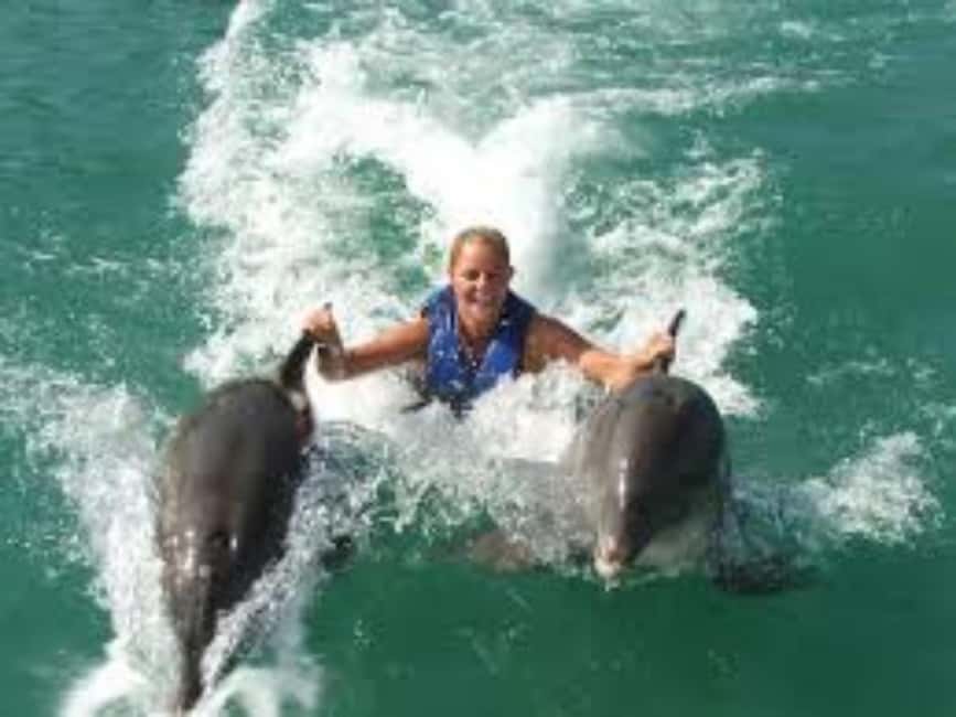 Dolphin Swim Adventure - Key Points
