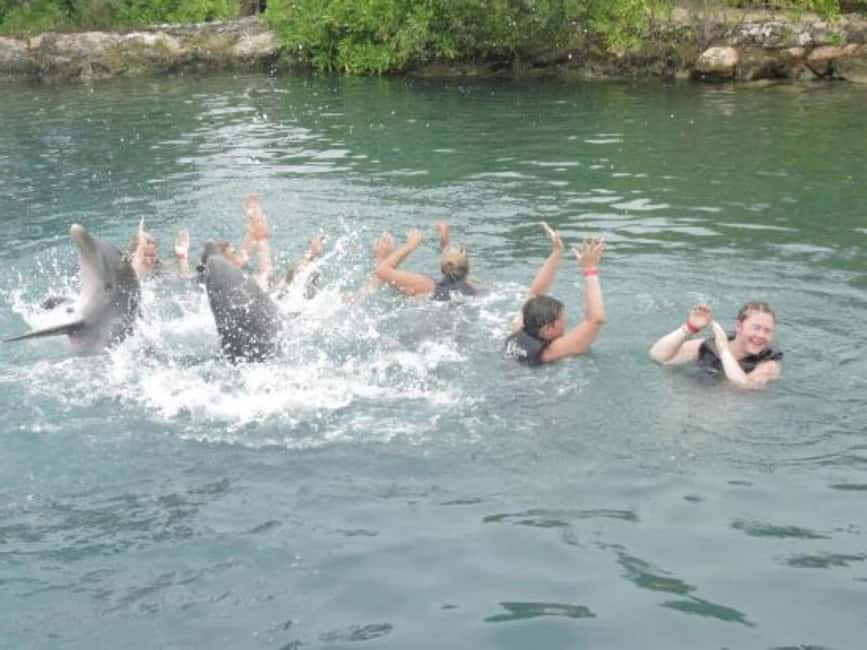 Dolphin Swim Adventure - Meeting Dolphins at Dolphin Cove in Cornwall County