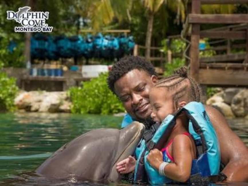 Dolphin Swim Adventure - A Private Three-Hour Plan