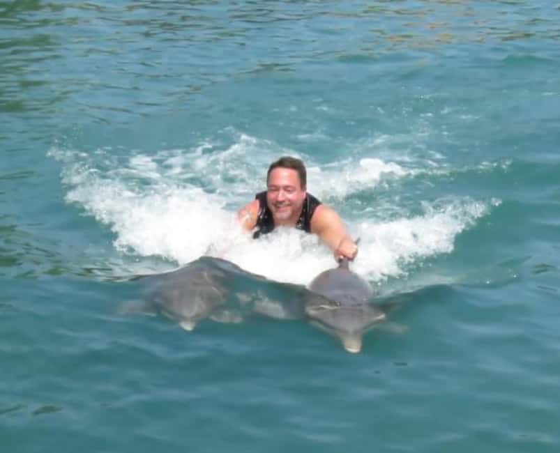 Dolphin Swim Adventure - What the Dolphin Session Includes