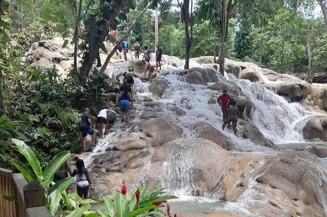 Dunn River Falls and Bamboo River Rafting in Ocho Rios Jamaica. - Why the included transport matters