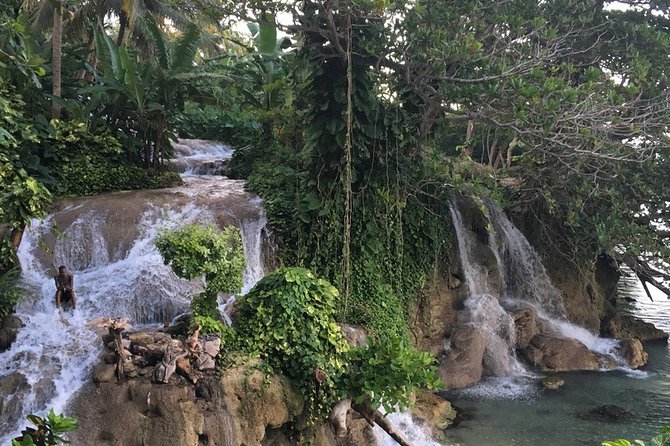Dunn's Falls and Blue Hole Daytrip with Lunch from Montego Bay & Trelawny - Guides make a real difference on this outing