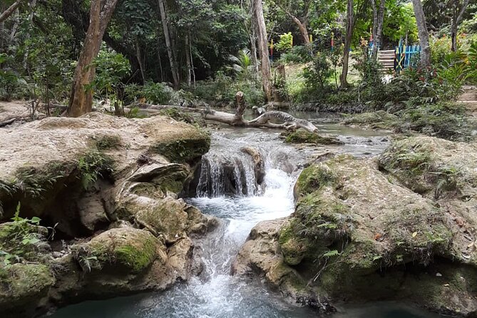 Dunn's Falls and Blue Hole Daytrip with Lunch from Montego Bay & Trelawny - Who will enjoy this tour most?