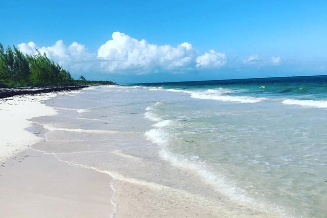 Dunn's River Falls and Beach From Ocho Rios Jamaica - Key Points Before You Book