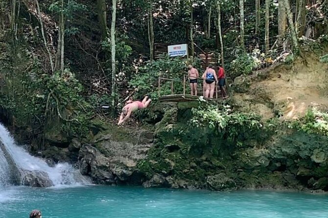 Dunn's River Falls and Blue Hole Secret Falls Combo Daytrip - Dunn’s River Falls: a guided climb through moving water