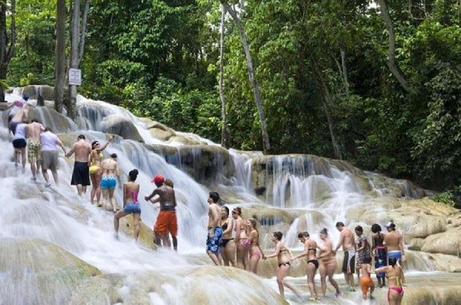 Dunn's River Falls and Horse Back Riding Excursion - Timing, transport, and group size