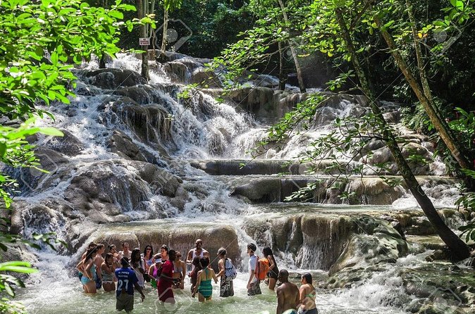 Dunn's River Falls and Horse Back Riding Excursion - Who will enjoy this excursion most