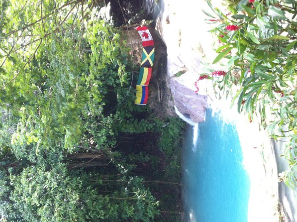 Dunn's River Falls and Jamaica Sightseeing Private Tour - From Montego Bay to Falmouth and Rio Bueno