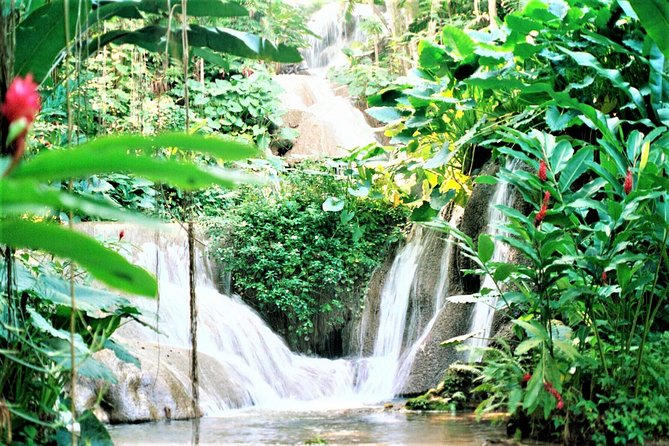 Dunn's River Falls and Ocho Rios Shopping Tour from Montego Bay Hotels - What the waterfall guides add