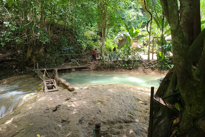 Dunn's River Falls & Blue Hole from Montego Bay or Falmouth - A closer look at the $99.99 price