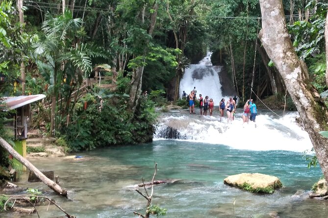 Dunn's River Falls & Blue Hole from Montego Bay or Falmouth - The best reason to choose Finesse Vacations Jamaica
