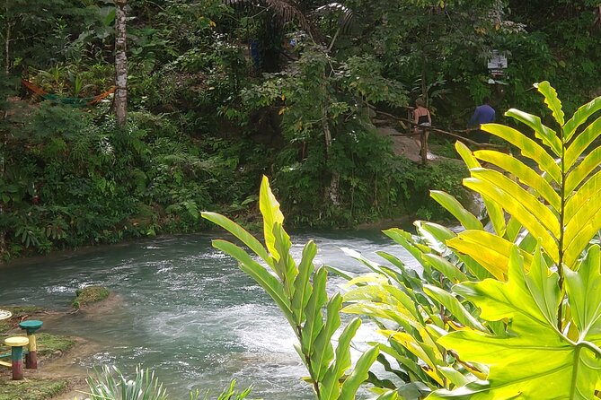 Dunn's River Falls & Blue Hole Tour from Montego Bay - The drive between the two attractions