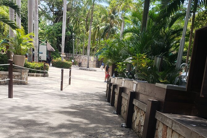 Dunn's River Falls & Blue Hole Tour from Montego Bay - Riding from Montego Bay with Shane, Mark, or Dwayne