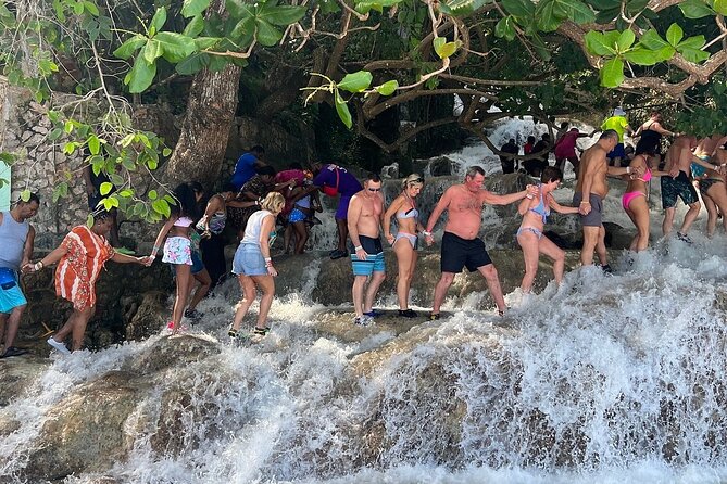 Dunn's River Falls Climb and Beach Include Entry Fee (ᵔᵕᵔ) - Is $80 per person a fair price?