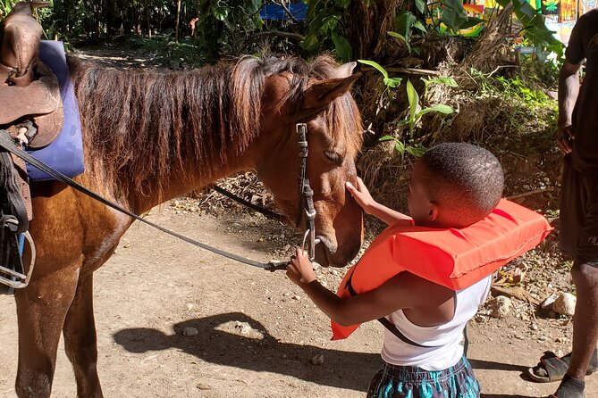 Dunn's River Falls Climb, Zipline and Horseback Riding Private Tour - Should you book the Dunn’s River combination?
