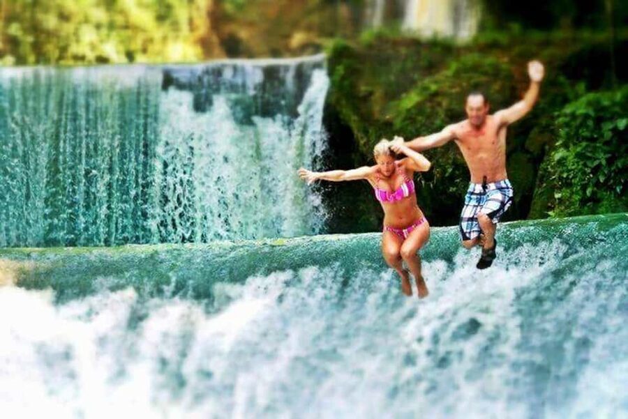 Dunn's River Falls Day Tour - Fern Gully changes the pace from water to forest