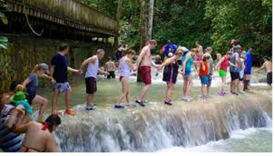 Dunn's River Falls Day Tour - A private ride makes the $208 price easier to judge