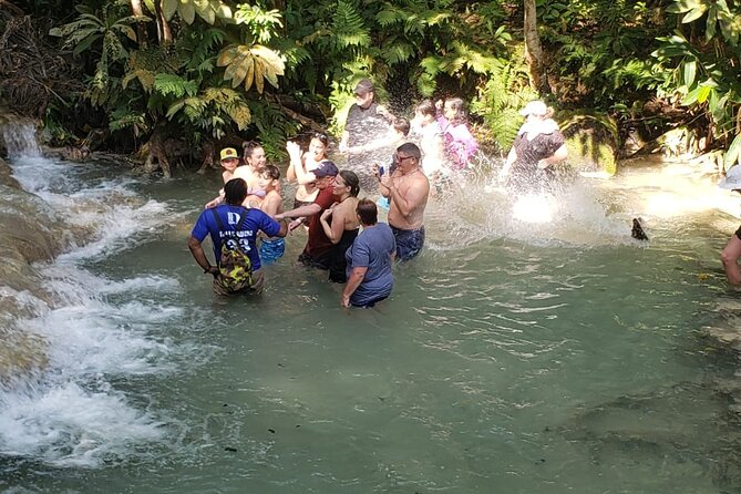 Dunn's River Falls Half Day Tour From Montego Bay - The value of a $160 private tour