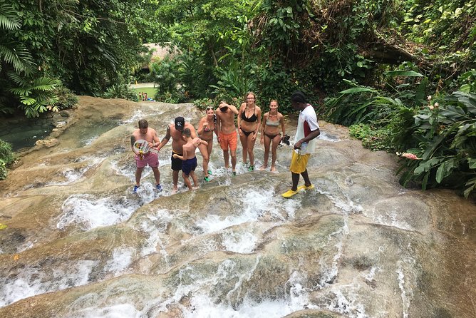 Dunn’s River Falls & Horse Back Riding Transportation Only - Service style from Salisa Tours Jamaica