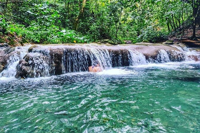 Dunn's River Falls & Luminous Lagoon Guided Tour from Montego Bay - Luminous Lagoon works best under the right sky