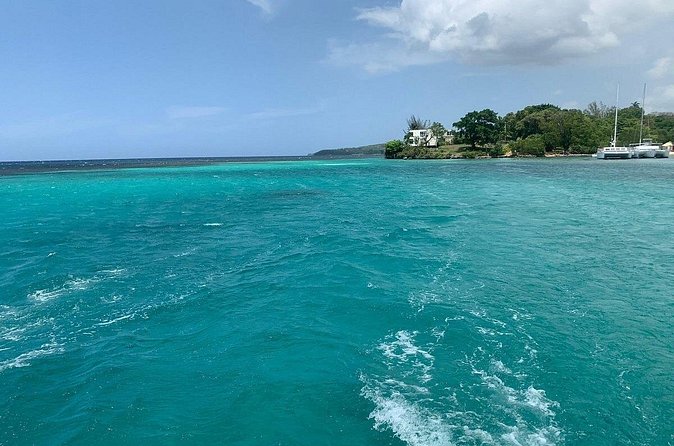 Dunn's River Falls Party Cruise, Blue Hole with Snorkeling, free beverages - Should you book the Dunn’s River combination?