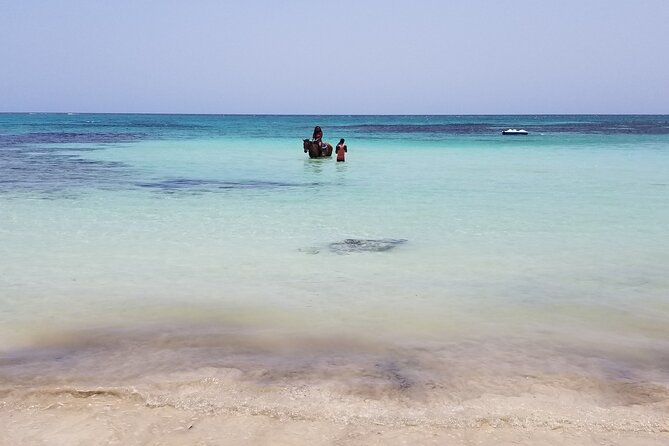 Dunn's River Falls, River Tubing, and Horseback Riding With Transportation - Practical questions to ask Road Travel Jamaica