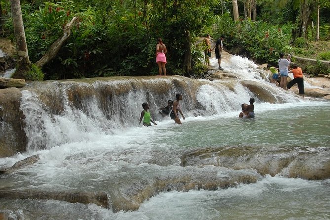 Dunn's River Falls Tour from Ocho Rios - Who will enjoy this outing most?