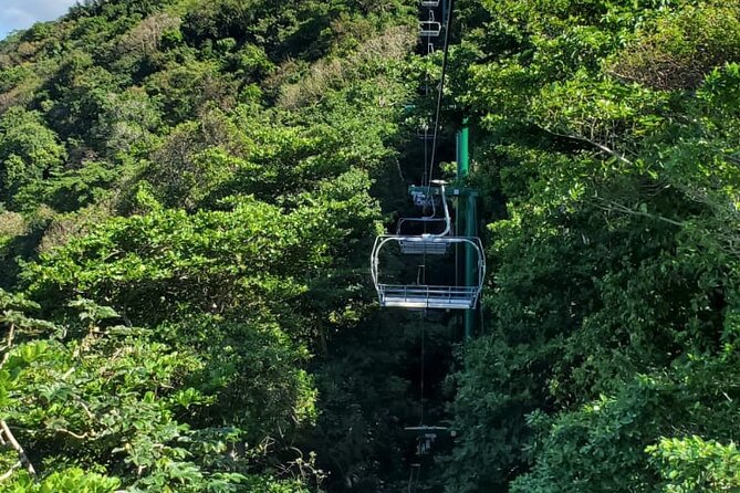 Dunn’s River Falls,Zip lining & horseback riding Combo tour from Montego Bay - Zip Lining Above Dunn’s River