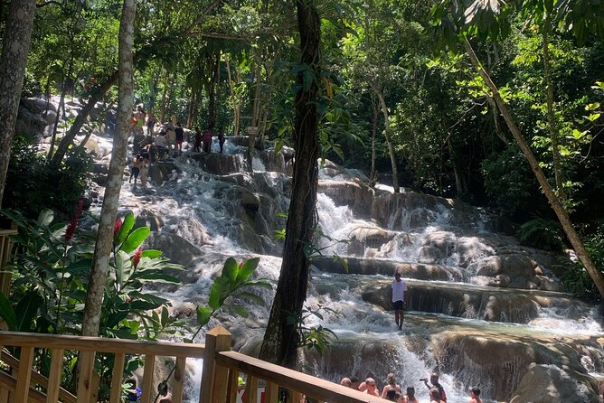 Dunn's River Falls, Zipline Adventure from Kingston - Who will enjoy this outing most