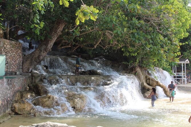Dunn's River Park & Blue Hole Waterfall Combo from Montego Bay - The guides can shape the whole day
