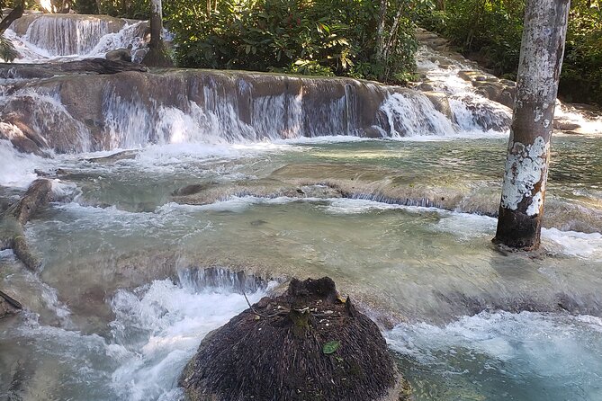 Dunns River Falls Experience from Montego Bay Resorts - Climbing Dunn’s River Falls from the Caribbean shore