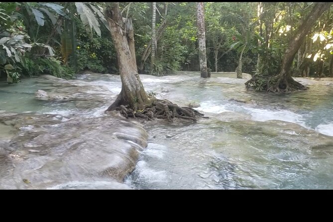 Dunns River Falls Experience from Montego Bay Resorts - Tranquility Gardens and time away from the water