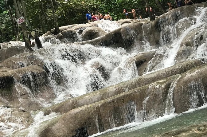 Dunns River Falls Experience from Montego Bay Resorts - Who will enjoy this outing most