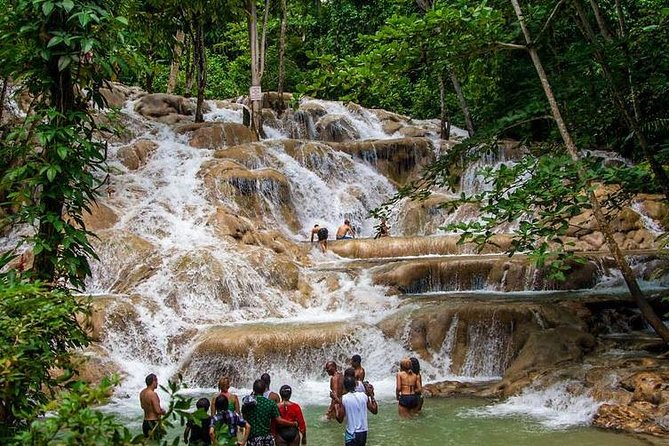 Dunns River Falls Scenic Tour - Key points to know before booking