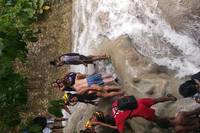 Dunns River Falls Scenic Tour - Who will enjoy this tour most