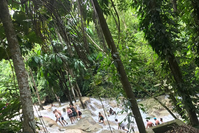 Dunns River Tour - Why Dunn’s River Falls makes a strong Montego Bay day trip