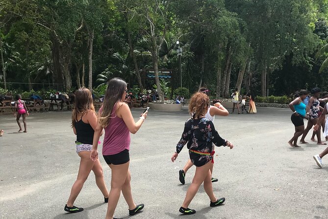 Dunns River Tour - The private ride from Montego Bay